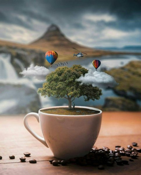 Необычное утро