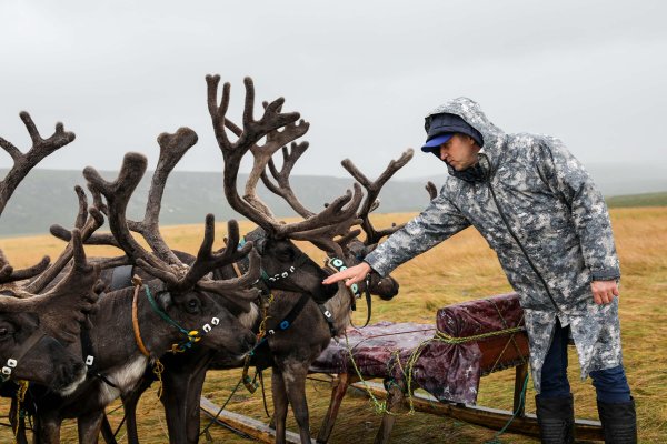 Праздник день оленя в НАО