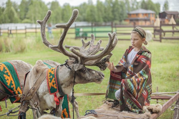 Оленья ферма Север в Орехово Зуево