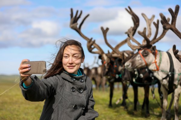 День оленя в Ненецком автономном округе