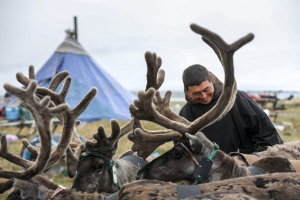 Коряки оленеводы