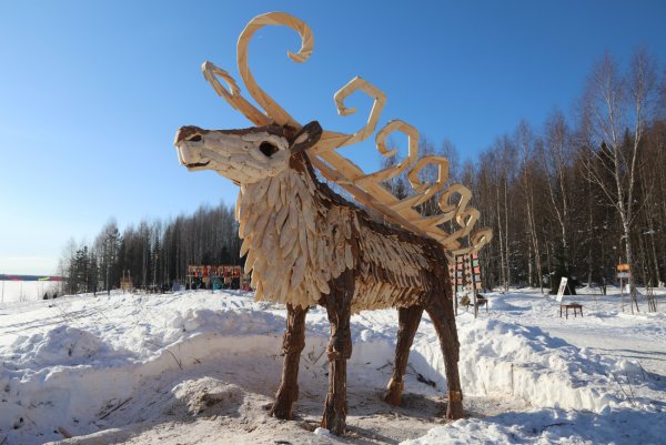 Архангельская область Голубино олени