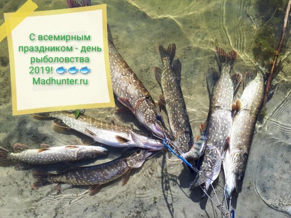 День рыбного промысла