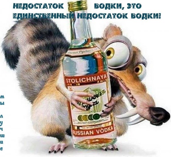 Белка с бутылкой водки