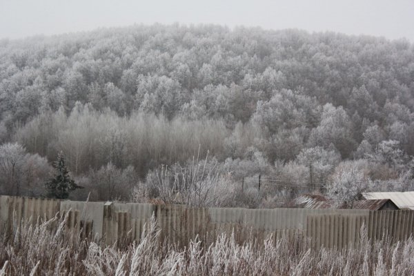 Народный праздник 29 ноября приметы