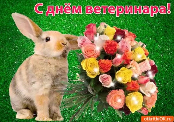 Поздравление с днем ветеринара