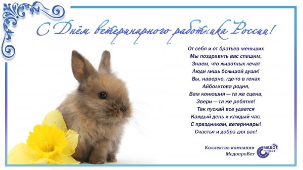 Доктор Айболит