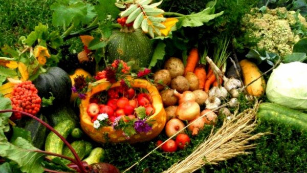 Приметы Макрида 1 августа