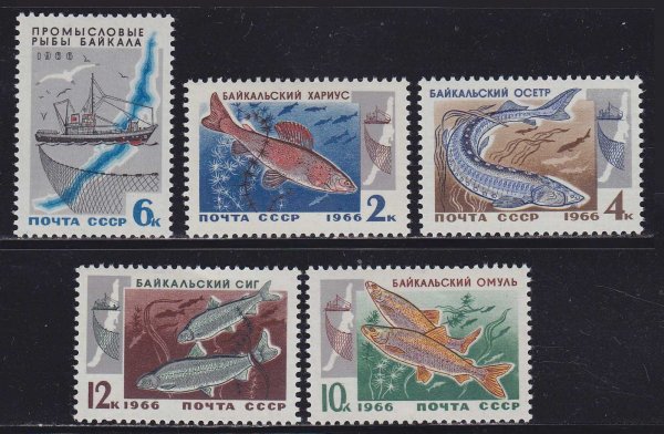 Собиратель марок