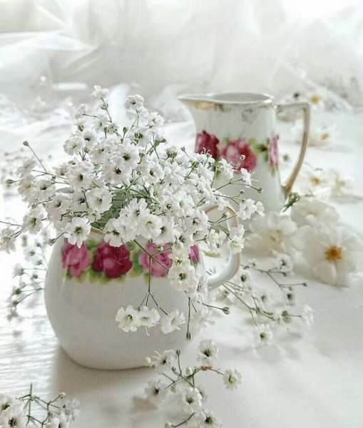 Нежного утра и хорошего дня