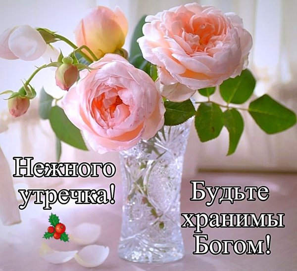 Пожелания с добрым утром хорошего настроения