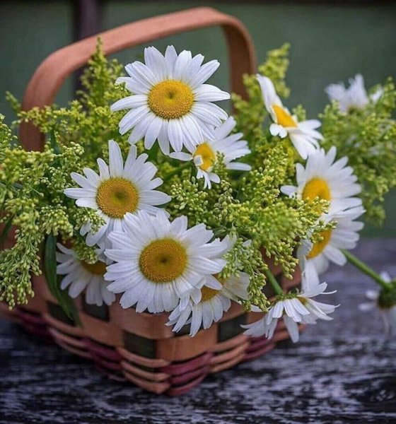 С новым днём и с добрым утром