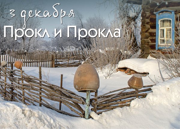 Черемуха ветвление