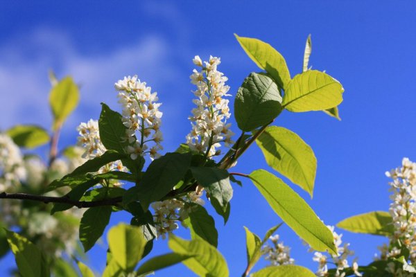 4 Июля народные праздники