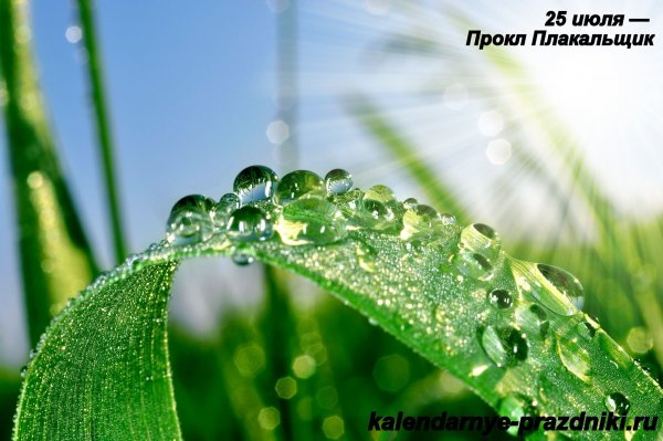 Икона Прокла и Илария