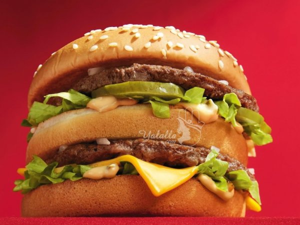 День бургера 27 июля