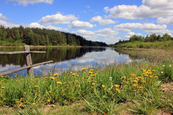 День пейзаж