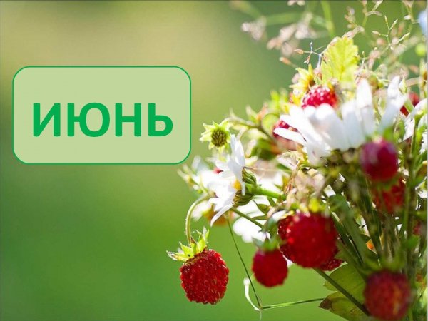 Июль середина лета