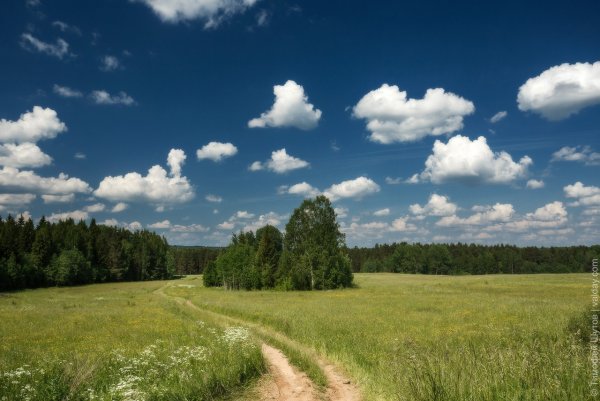 Зелёные просторы