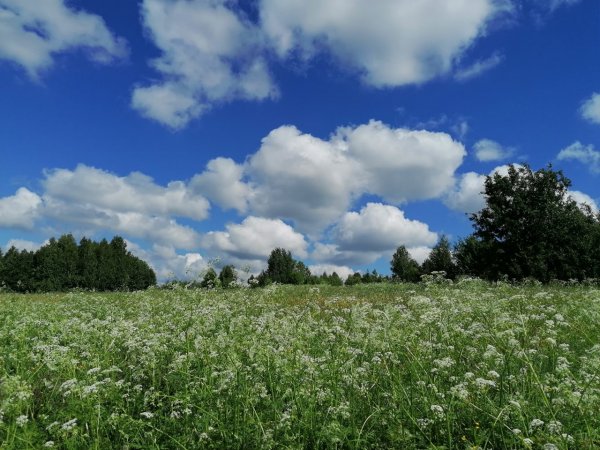 Природа Восточная Украина фото