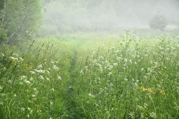 Фотографируем пейзаж