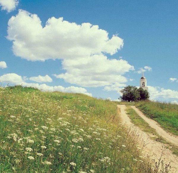 Лето в России