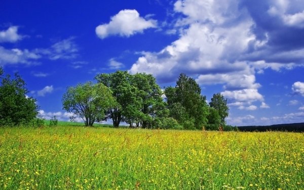 Лето река солнце