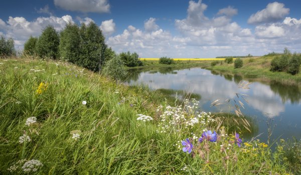 Ветреный летний день фото
