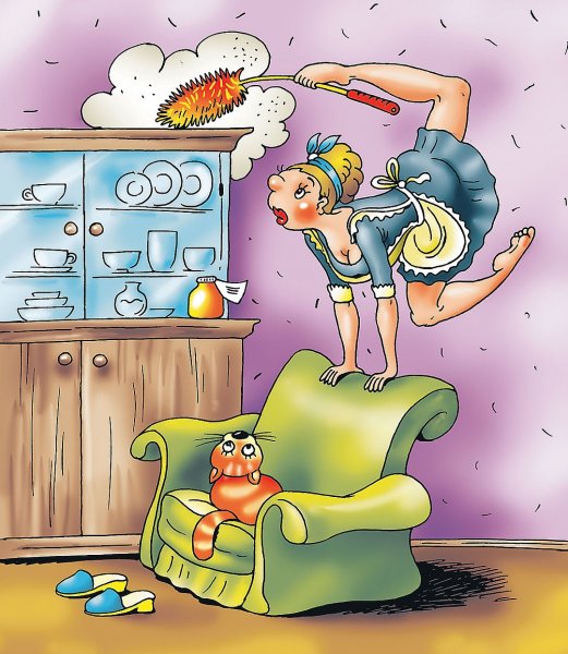 Домохозяин юмор