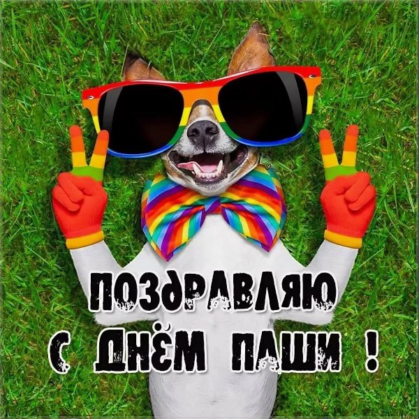 С днём рождения Паша прикольные