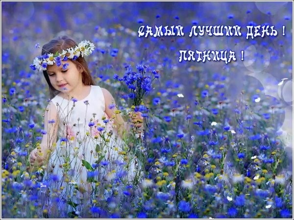 Доброго летнего дня пятницы