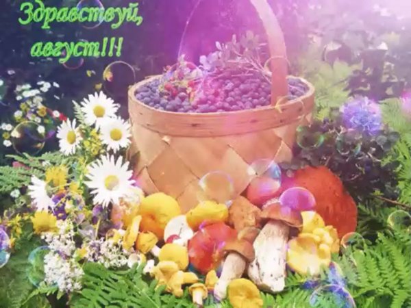 Открытки Здравствуй август