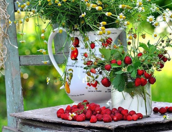 Доброе утро лето