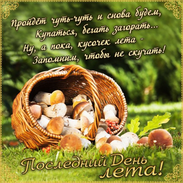 Летнего настроения пожелания