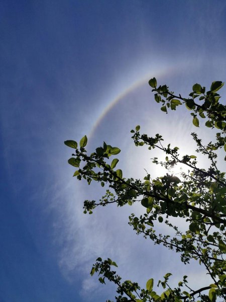 30 Мая заканчивается Весна