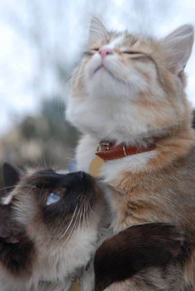 Открытка конец рабочего дня