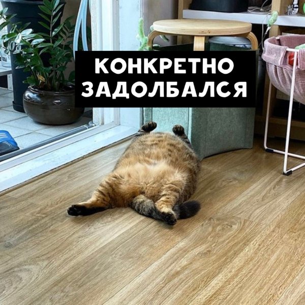 Конец рабочего дня приколы