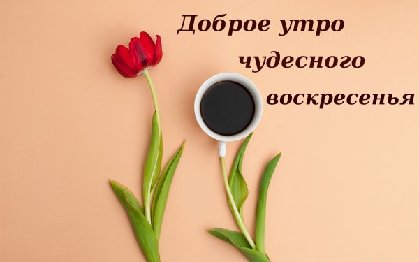 Офисный работник