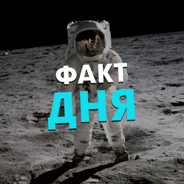 Факты картинки