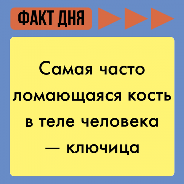 Факты день равны