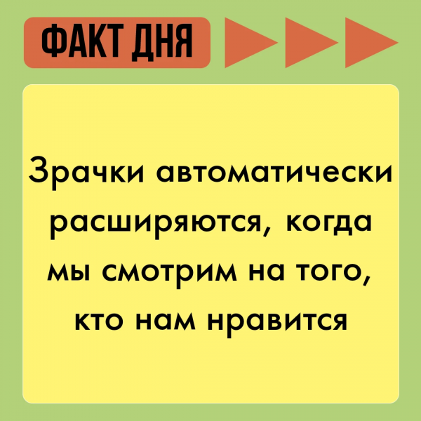 Когда полетят на Марс