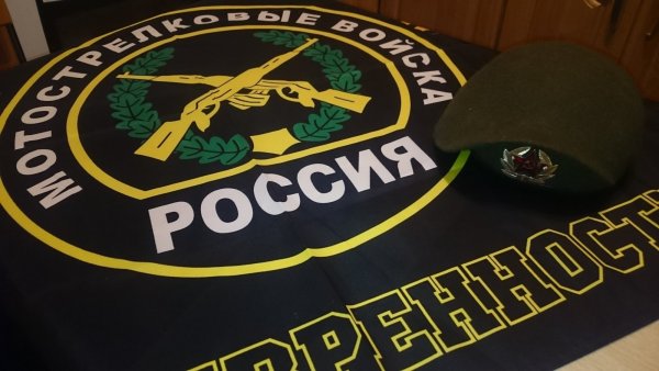 Мотострелковые войска (МСВ)