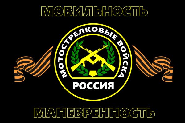 Мотострелковые войска (МСВ)