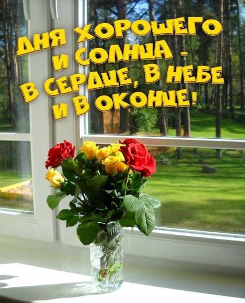 Доброе солнечное утро