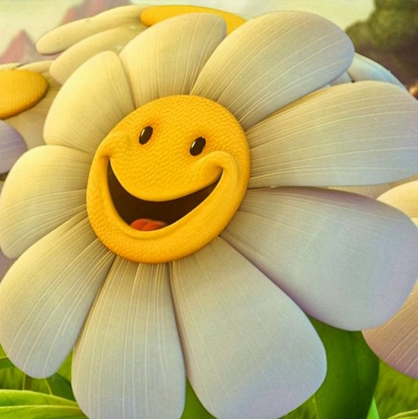 Ромашка улыбается