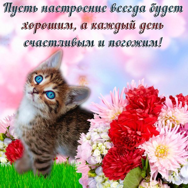 Открытка "хорошего настроения"