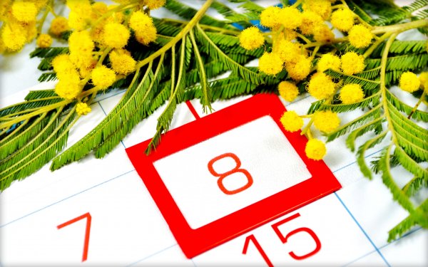 8 Марта Мимоза