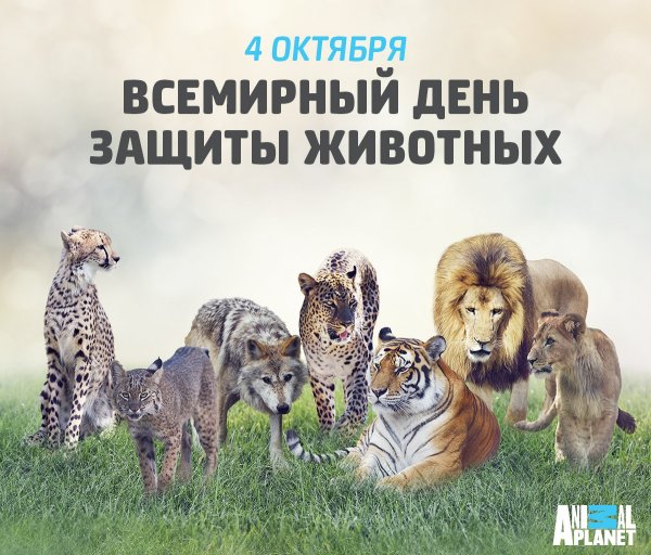 Всемирный день животных