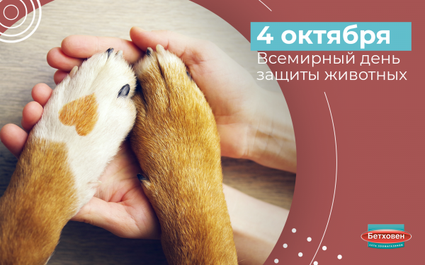 4 Октября Всемирный день животных