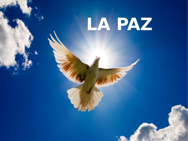 Мирное небо